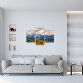 Kép - hegyi panoráma (90x60 cm)