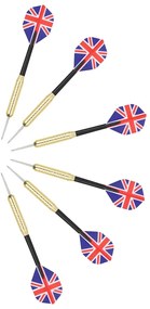 szizál professzionális darts tábla 6 nyíllal és tábla védővel