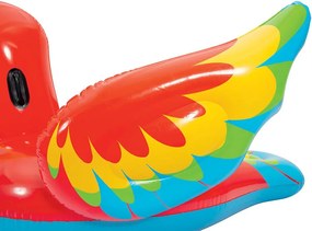 Papagáj rider 203 x 132 cm