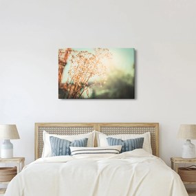 Kép - Növények eső után (90x60 cm)