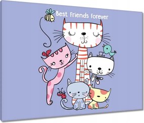 Vászonkép 80x60 Cica Cicák Macskák