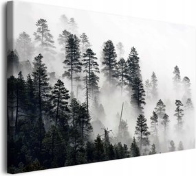 Fekete-fehér vászonkép Fali dekoráció Erdő a ködben 60x90cm