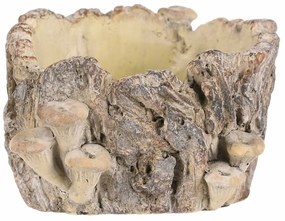 Beton burkolat - tusk with mushrooms, 18 x 14 x 9cm, 18 cm