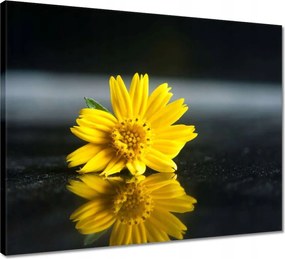 Vászonkép 50x40 Sárga virág