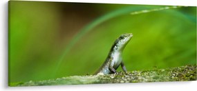 Gyíkok képe (120x50 cm)