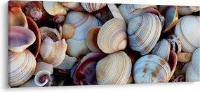 Kagyló képe (120x50 cm)