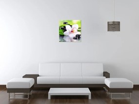 Gario Vászonkép Fehér orchidea és kövek Méret: 100 x 70 cm
