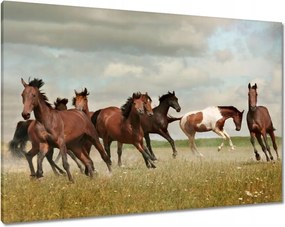 Våszonkép 100x70 Ló Lovak Lovaglås