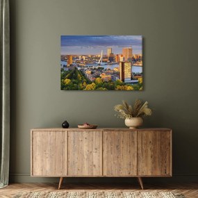 Kép - panoráma Rotterdam, Hollandia (90x60 cm)