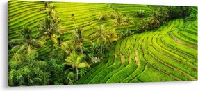 Kép - Rizs teraszok (120x50 cm)