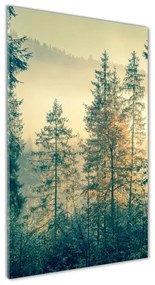 Akril üveg kép Köd az erdőben oav-90691876