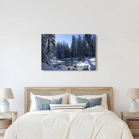 Havas erdő képe (90x60 cm)