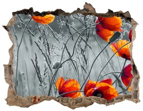 Fali matrica lyuk a falban Vadvirágok pipacsok nd-k-102051546