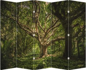 Paraván - Fa (210x170 cm)