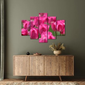 Kép - Rózsaszín tulipánok (150x105 cm)