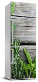 Hűtőre ragasztható matrica Gyógynövények fa FridgeStick-70x190-f-67467429