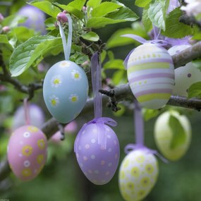 Poszter 40x40cm Húsvéti tojások lógnak az ágakon 3, Assaf Frank