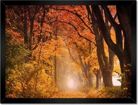 Poszterek keretben 40x30 Őszi kilátás