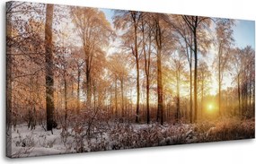 Vászonkép Fák Tél Felkelő Nap 80x40 cm Ideális ajándék