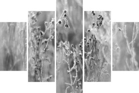 Kép - Wild Meadow (150x105 cm)