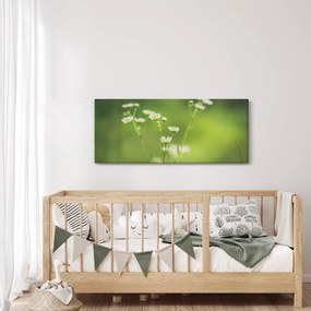Egy százszorszép képe (120x50 cm)