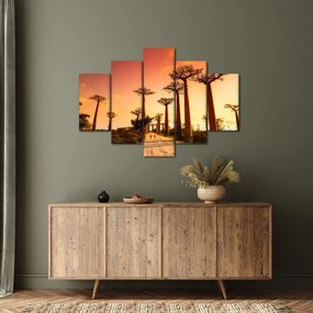 Kép - Naplemente a Baobab Alley-ben (150x105 cm)