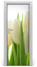 Ajtó méretű poszter fehér tulipán 75x205 cm