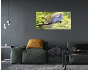 Akrilkép Színes papagáj egy ágon 100x50 cm