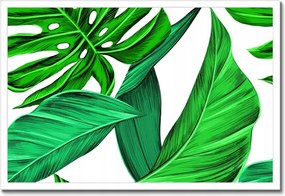 Poszterek keretben 60x40 Zamatos Monstera Trópusok