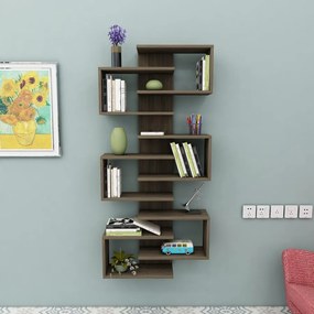könyvespolc Lotus - Walnut