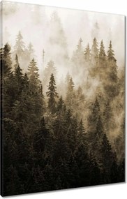 Vászonkép 60x80 Tájkép Szépia Hegyek Köd