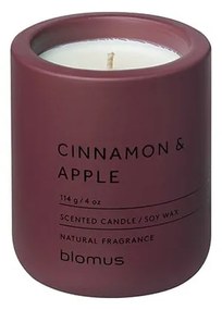 Illatos szójaviasz gyertya égési idő 24 ó Fraga: Cinnamon & Apple – Blomus