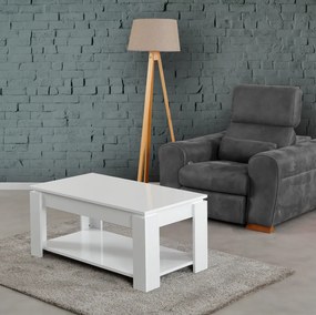 Shelf - Shiny White