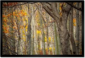 Poszterek keretben 60x40 Tájkép Látvány