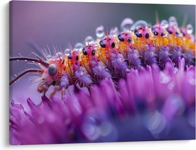 Kép - Caterpillar (70x50 cm)