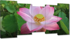 Vászonkép 150x80 Lótusz Lótuszvirág