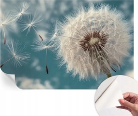 Modern öntapadós fotótapéta falra Könnyű éteriség 104x70 cm