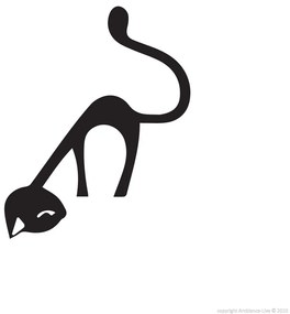 Funny Cat falmatrica - Ambiance