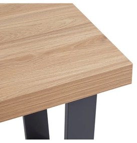 Tárolóasztal 50x50 cm Oakton – Premier Housewares