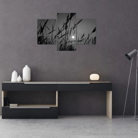 Kép - rét naplementével (90x60 cm)