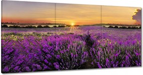 Vászonkép 120x60 Levendula naplemente