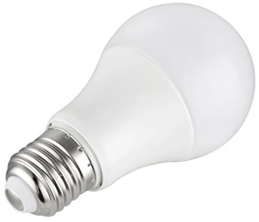 Toolight Szerszámlámpa, LED izzó E27, 5W, 350lm, 3000K meleg, RSL019, OSW-20004