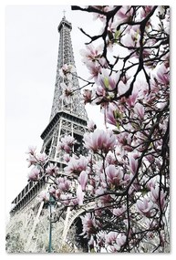 Gario Vászonkép Eiffel-torony és magnóliák - Dmitry Belov Méret: 60 x 90 cm