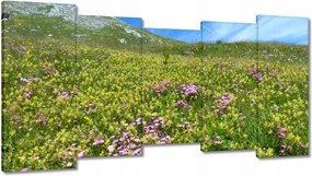 Festmények 150x80 Alpesi rét