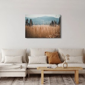 Kép - réti növényzet részlete (90x60 cm)