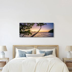 Kép a pálmafa a tengerparton (120x50 cm)
