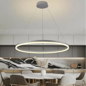 Brilagi -LED Dimmelhető csillár zsinóron CIRCLE LED/55W/230V 3000-6500K ezüst + távirányító