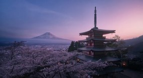 Fotográfia Mt Fuji Sakura, Javier de la