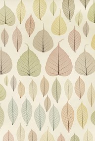 Poszter 61x90,5cm Csontváz levelek, Assaf Frank