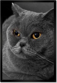 Poszterek keretben 40x60 Mit csomagolok